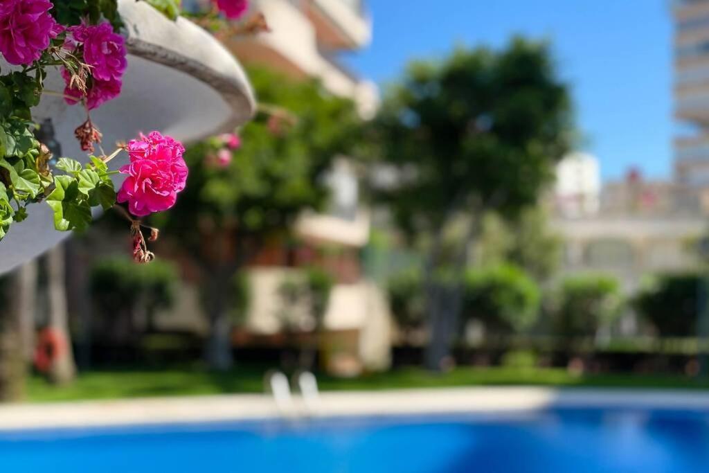 Encantador Y Coqueto Loft A 8 Min. De La Playa. Alicante Kültér fotó